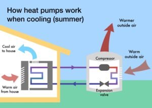 معلومات عامة licensed image